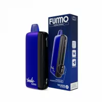 Одноразовая электронная сигарета Fummo Indic 10000 - Ледяная Черника M