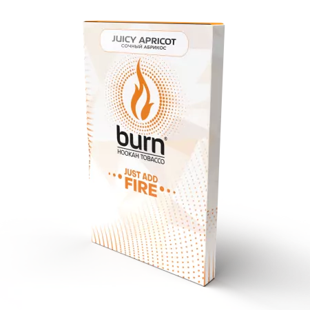 Заказать Табак Burn 100г Juicy Apricot М