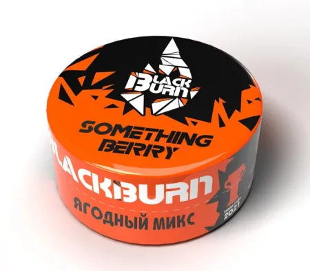 Заказать Табак Black Burn 25г Something Berry М