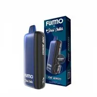 Одноразовая электронная сигарета Fummo Indic Chiller 10000 - Северные Ягоды с Хвоей M